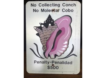 Vintage Aluminum Sign - No Collecting Conch- Penalty $500, 18 X 24