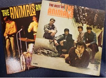 (2) Animals Records