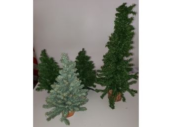 Assortment Of Different Size Christmas Trees