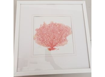 Red Coral Picture In White Frame