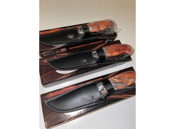 Three New In Box Collectible Hunting Knives Scorpion Dragon & Spider Cool Knives!