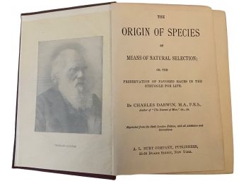 'The Origin Of Species' By Charles Darwin