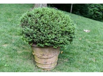 Large Cast Stone Round Planter With Boxwood Bush