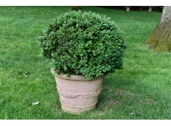 Large Cast Stone Round Planter With Boxwood Bush