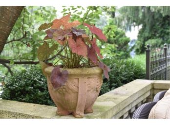 Cast Stone Planter With Grape Detailing And Live Plant