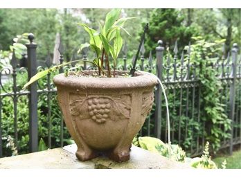 Cast Stone Planter With Grape Detailing And Live Plant