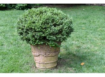 Large Cast Stone Round Planter With Boxwood Bush