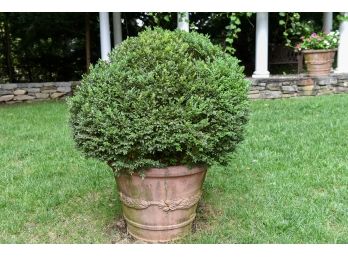 Cast Stone Round Planter With Bush