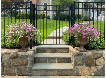 Pair Of Large Live Potted Petunias In Fabulous Cement Urns (4 Of 5)