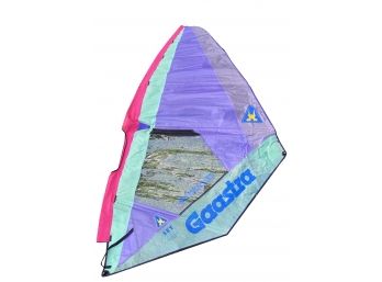 Gaastra SET Windsurf Speed Slalom Sail With Stays & Storage Bag