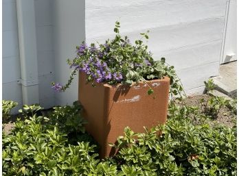 Concrete Planter & Plants 1 Of 2