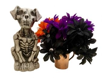 Red Eyed Skeleton Dog & Googley Eyed Flowers