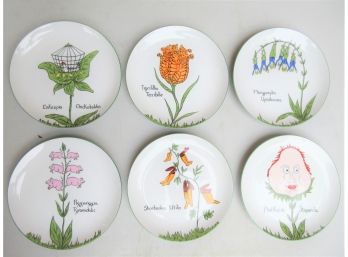 Grouping Of Six Japanese Nonsense Plates In Box -