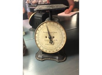 Vintage Columbia Family Scale