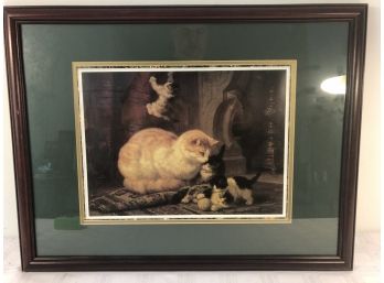 Kitten Framed Picture 26 X 21