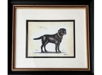 Original Pencil Signed Lindi Linde Limited Edition Lithograph Of A Black Labrador