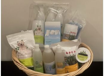 Go Green! Get Clean! Shaklee Basket