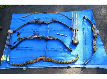 Compound Bow Grouping - Bear, Browning, Golden Eagle W/Quivers & Accessories