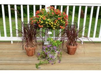 Three Plant Stands And Four Potted Plants