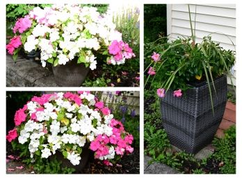 Wicker Flowerbox With Two Potted Plants