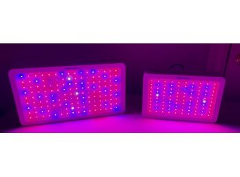 Working - Pair Of Roleadro LED Grow Lights 1500 & 1000 Watts - Very Powerful