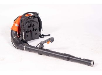 Echo Leaf Blower