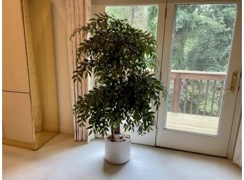 Large Potted Faux Tree In White Ceramic Planter