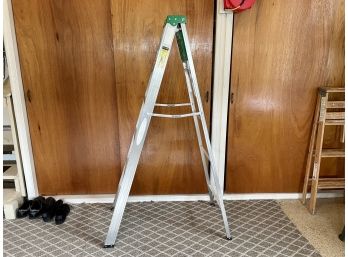 Werner 6 Foot Ladder