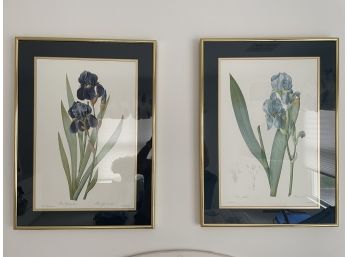 Pair Of Pierre-Joseph Redoute Framed Iris Prints