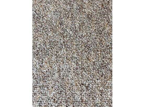 Large Carpet 15' (feet) X 18' (feet)