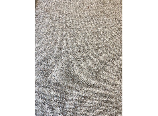 Carpet - 8.3' (Feet) X 16.9' (Feet)