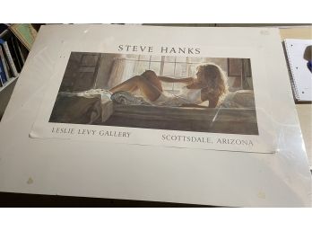 Steve Hanks Museum Poster