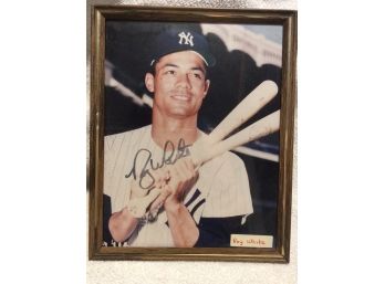 Roy White Framed Autographed Picture New York Yankees