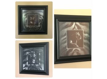 Set Of Three Framed Tiger Portrait Prints In B&W By  'Londen'