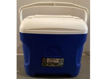 Igloo 30 Quart Cooler