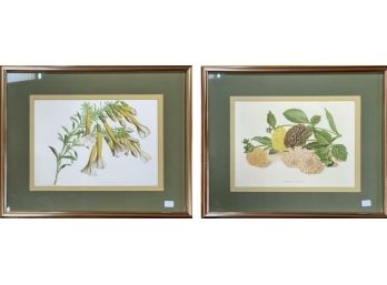 Pair Of Botanical Prints In Custom Gold Frames