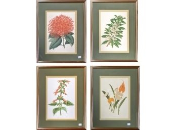 Set Of 4 Botanical Prints In Custom Gold Frames