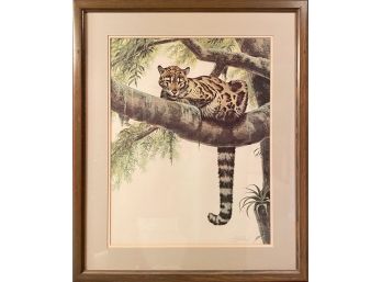 Guy Coheleach Clouded Jaguar In Tree Signed Lithograph