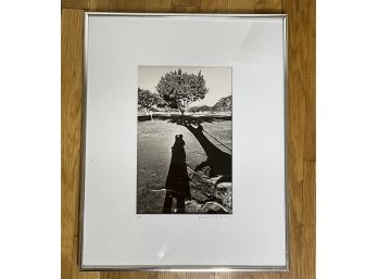 Framed Photograph By Gilda Zirinsky