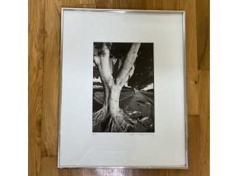 Framed Photograph By Gilda Zirinsky