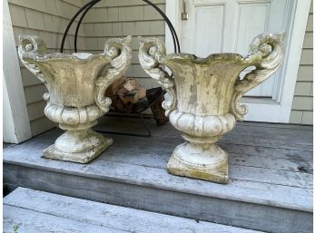 Large Concrete Flower Pots