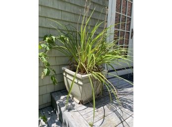 Large Square Ceramic Planter Pot