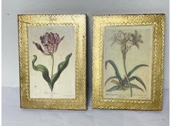 Pair Of Mounted Floral Prints