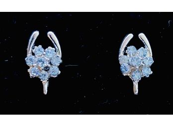 Light Blue Rhinestone Floral Design In Front Of Silver Tone Horseshoe Design