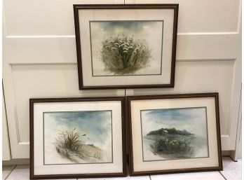 Three Framed Botanical Prints