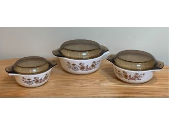 Group Of Pyres Covered Casserole Dishes