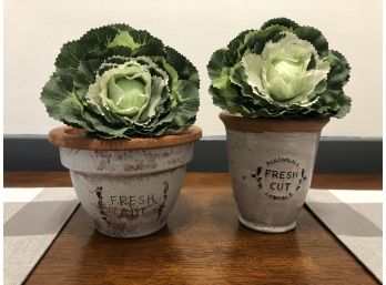 Farmhouse Decor, Cute French Pots With Faux Cabbage