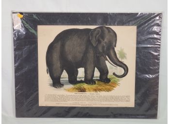 Antique 1845 Josiah Wood Whimper Natural History The Elephant Hand Colored Wood Engraving