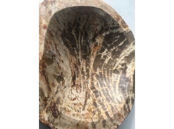 11LB.5oz  , Petrified Wood Bowl