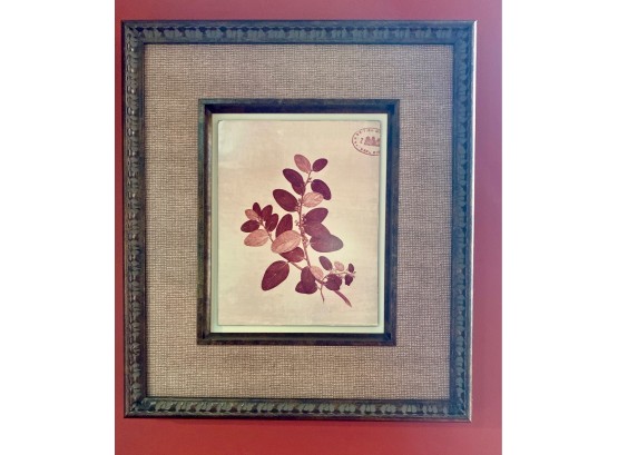 Framed, Window Box Red Leaf Branch (RETAIL $60.00)